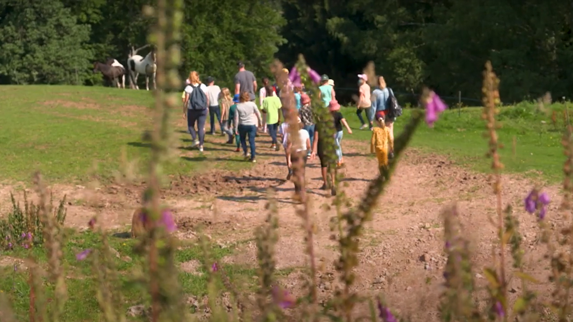 Des personnes se promènent à la lisière d'une forêt